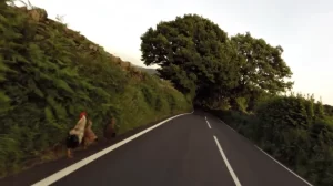 Sheffield Advanced Motorcyclists